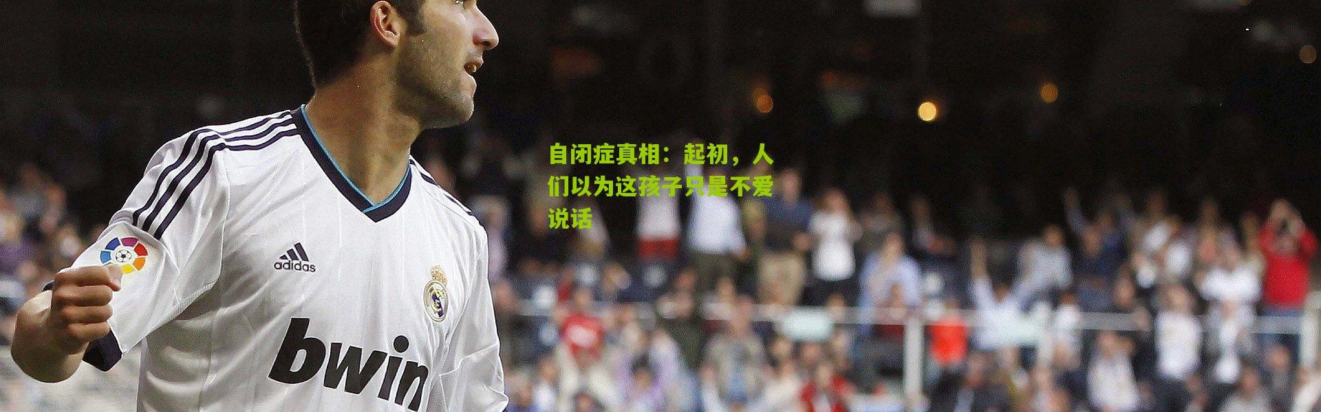 自闭症真相：起初，人们以为这孩子只是不爱说话