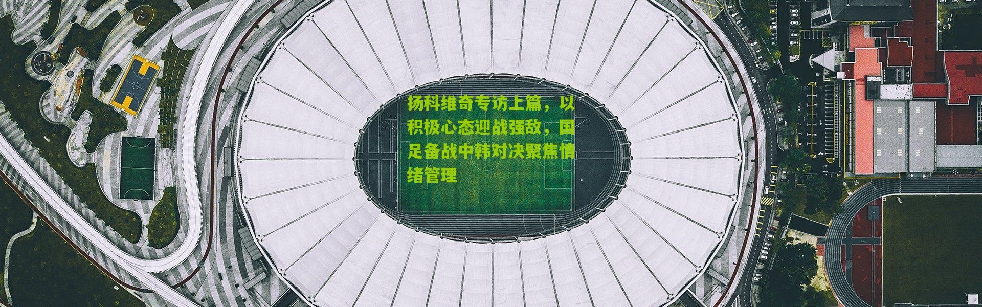 扬科维奇专访上篇，以积极心态迎战强敌，国足备战中韩对决聚焦情绪管理