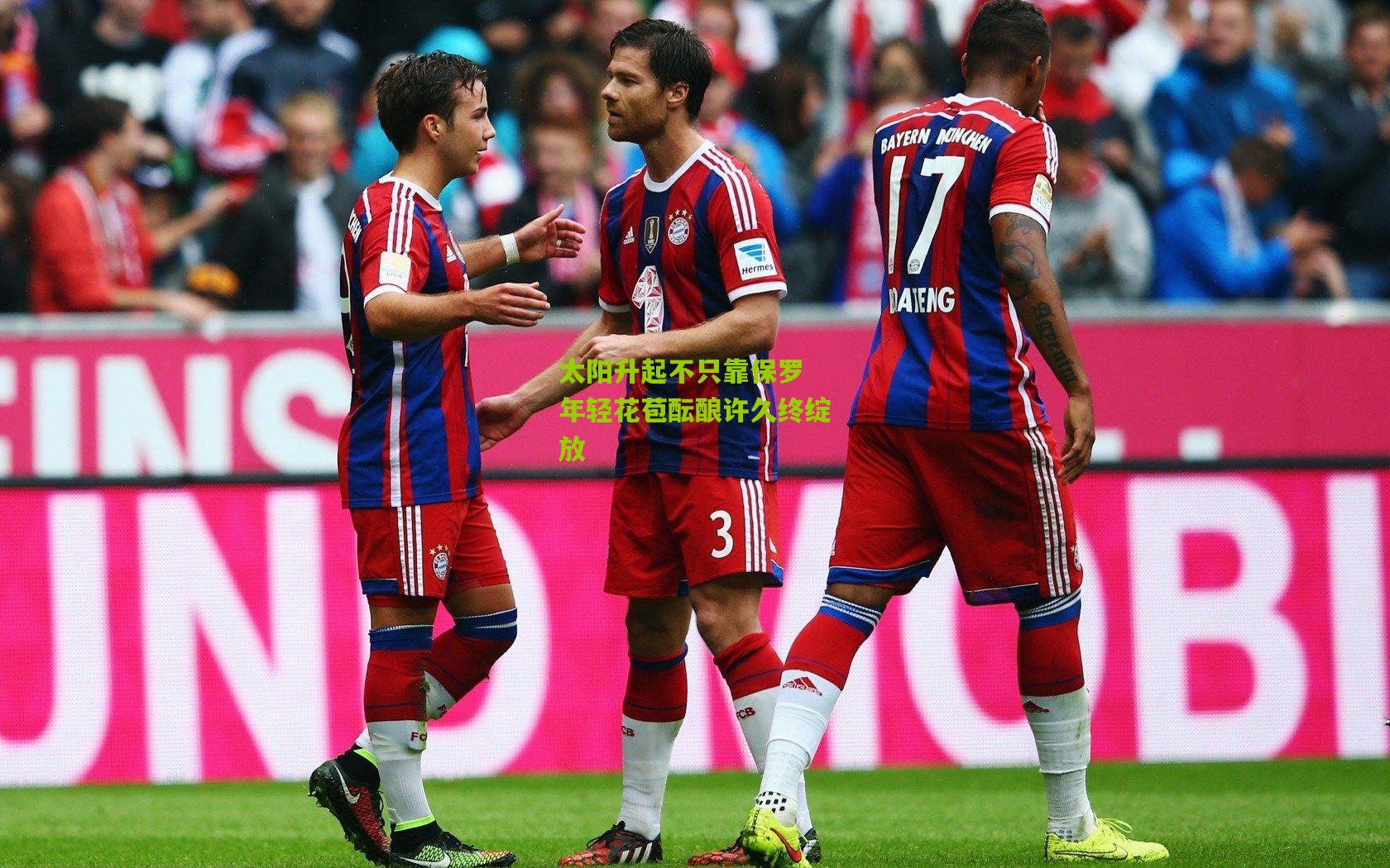 太阳升起不只靠保罗 年轻花苞酝酿许久终绽放