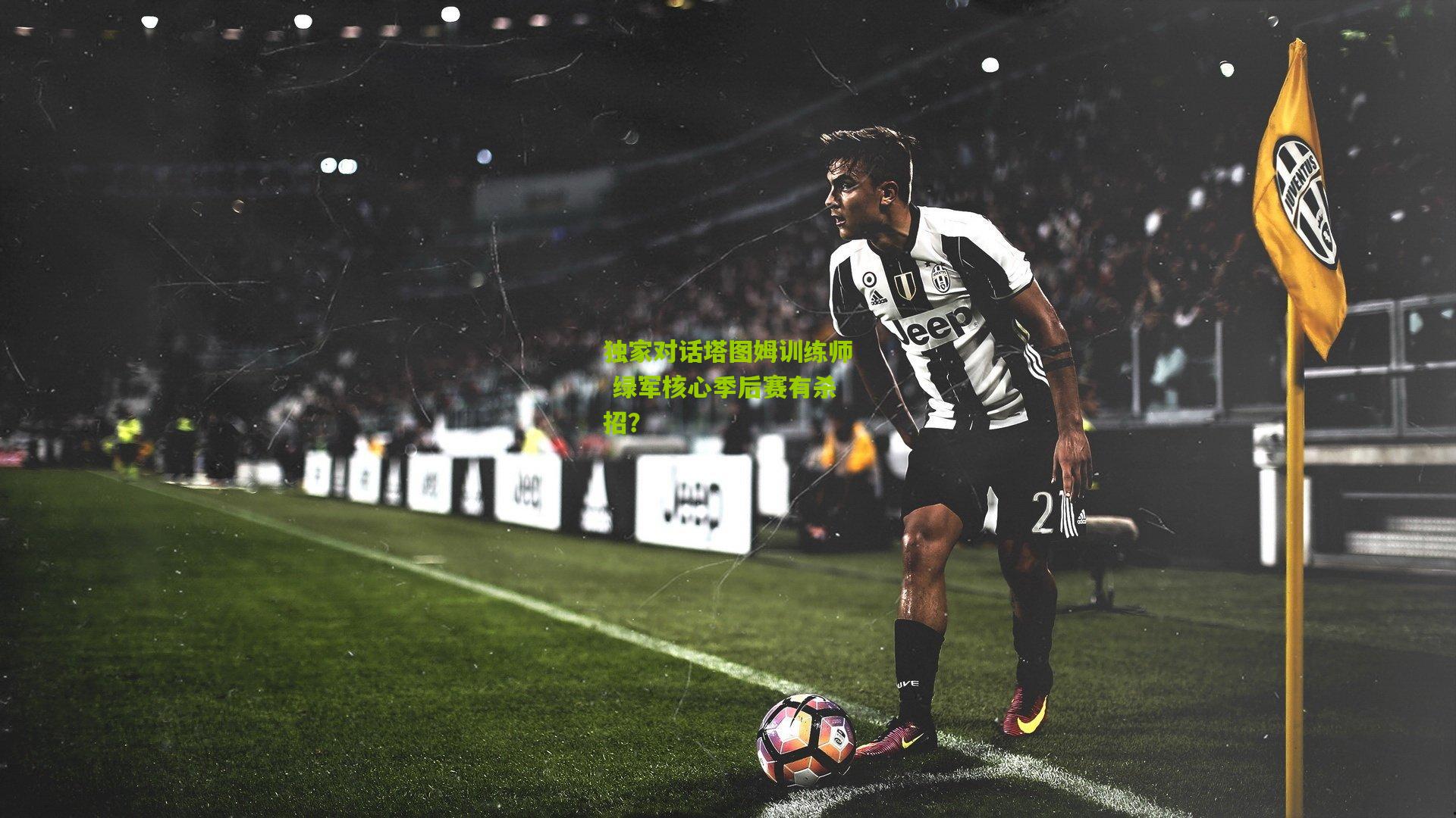 独家对话塔图姆训练师 绿军核心季后赛有杀招？