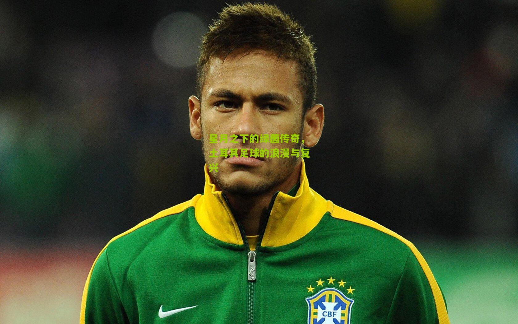 星月之下的绿茵传奇,土耳其足球的浪漫与复兴