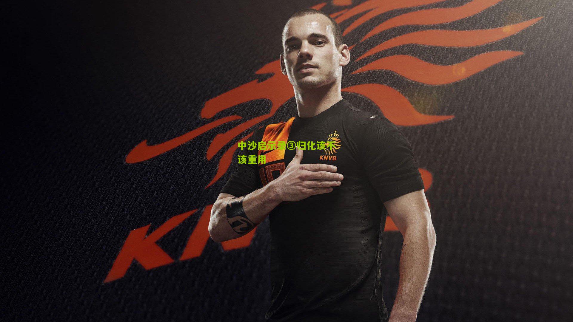 中沙启示录③归化该不该重用